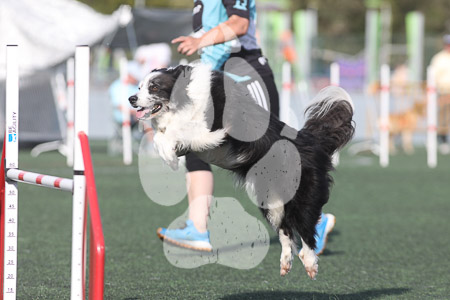 04 de abril de 2026