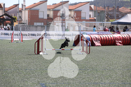 04 de abril de 2026
