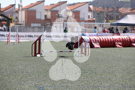 04 de abril de 2026