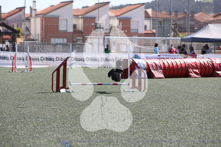 04 de abril de 2026