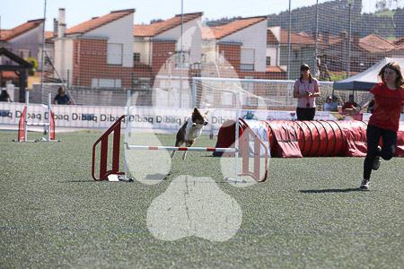 04 de abril de 2026